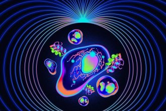 Why ‘quantum proteins’ could be the next big thing in biology