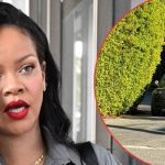 Woman Arrested For Shooting At Rihanna’s Mansion While She Was Inside