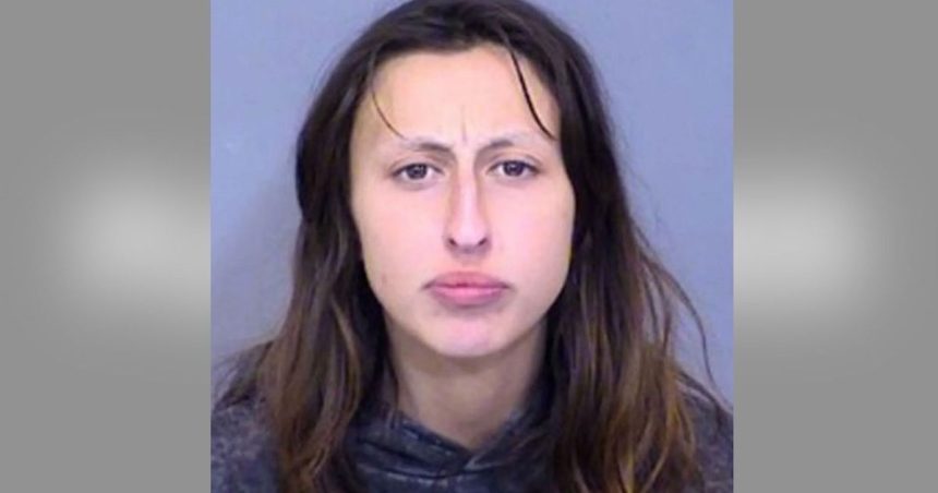Woman Indicted After Allegedly Abducting Girl, 3, in Arizona