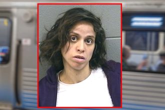 Woman robbed 89-year-old man at Division Blue Line, accomplice sought