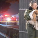 Woman’s dog-bitten body discovered in LA homeless encampment