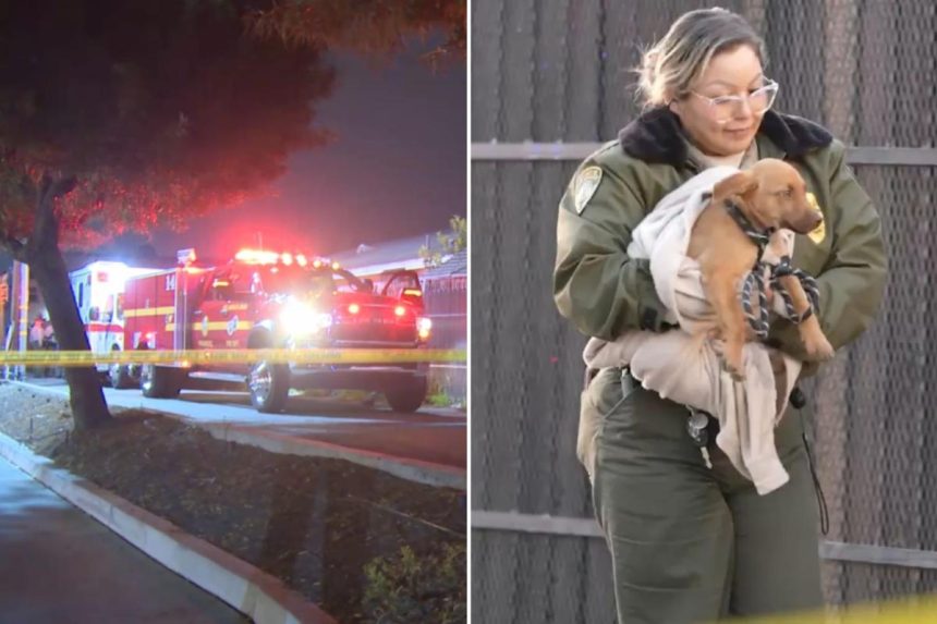 Woman’s dog-bitten body discovered in LA homeless encampment
