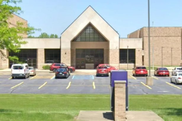 ‘You all are acting like monkeys in a zoo’