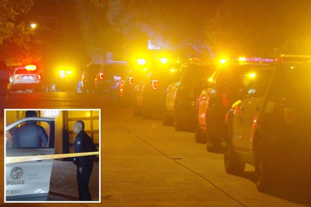 70-year-old woman strangled in Hollywood Hills home invasion