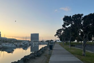 AACR in 30 Seconds: CAR-T promise, Merck’s new move, rural health