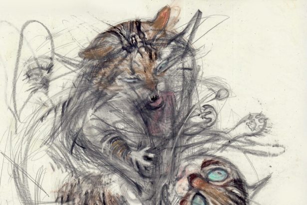 Anarchic Cats Are Ensnared in Chaos in Léo Forest’s Dynamic Drawings — Colossal