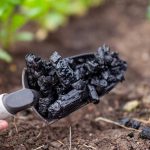 Biochar Was a Billion-Ton Dream, the Reality Is More Complicated