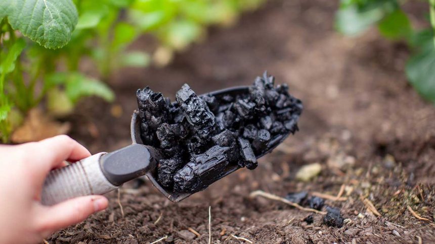 Biochar Was a Billion-Ton Dream, the Reality Is More Complicated