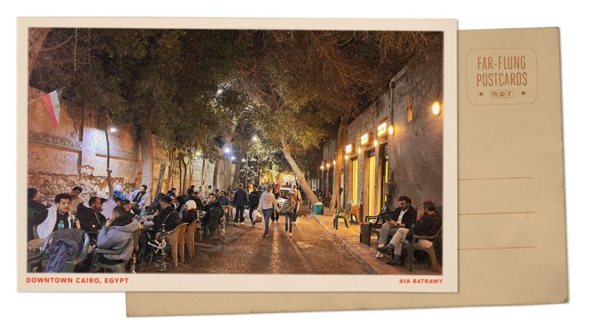 Cairo sheesha cafe : NPR