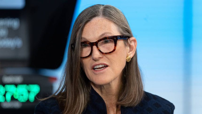 Cathie Wood buys 0,000 of surging megacap stock