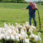 ‘Clarkson’s Farm’ Sets June Season 5 Launch Date