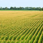 Climate experts say spring is coming earlier. How will that affect agriculture and ecosystems?