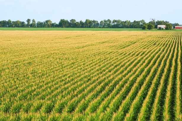 Climate experts say spring is coming earlier. How will that affect agriculture and ecosystems?