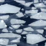 Diving robots help crack the mystery of Antarcticas’ vanishing sea ice