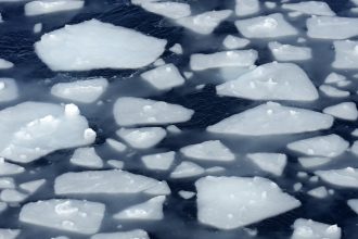 Diving robots help crack the mystery of Antarcticas’ vanishing sea ice