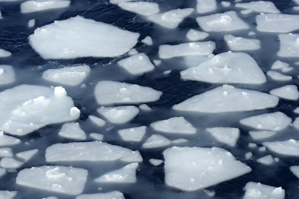 Diving robots help crack the mystery of Antarcticas’ vanishing sea ice