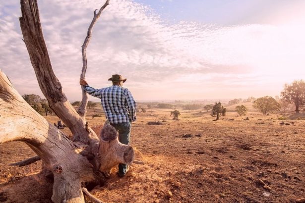 Droughts Are The Ideal Breeding Ground For Antibiotic-Resistant Bacteria, Study Warns : ScienceAlert