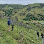 ECan wants more funding to fight erosion