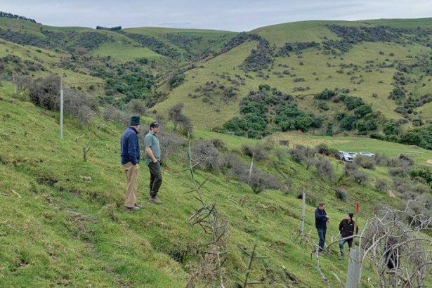 ECan wants more funding to fight erosion