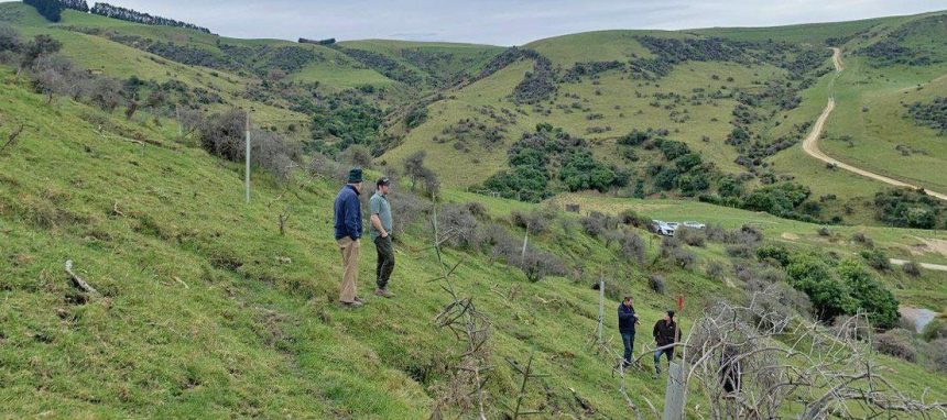 ECan wants more funding to fight erosion