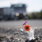 Easter road toll rises after pair of fatal crashes