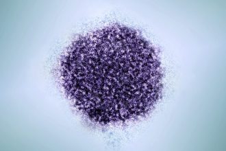 Eliminating hepatitis B shots at birth will have dire consequences, studies project