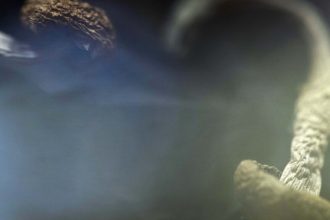 FDA fast-tracks review of new psychedelic mental health treatments