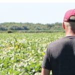 Farmers Voted For Trump And Now They Are Being Destroyed