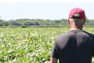 Farmers Voted For Trump And Now They Are Being Destroyed