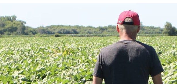 Farmers Voted For Trump And Now They Are Being Destroyed
