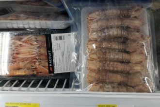 Fishing trawlers net carbon costs