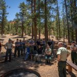 Forest Service overhaul sows confusion and concern