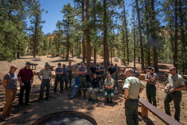 Forest Service overhaul sows confusion and concern