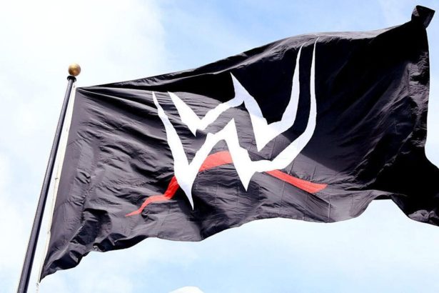 Former WWE star confronts man who assaulted her at WrestleCon