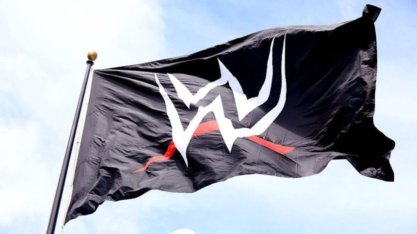 Former WWE star confronts man who assaulted her at WrestleCon