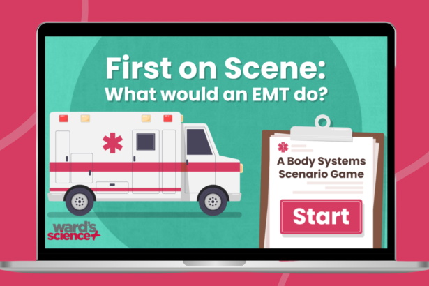 Free Body Systems and EMT Training Game