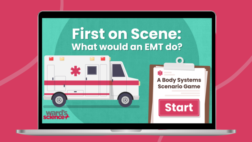 Free Body Systems and EMT Training Game
