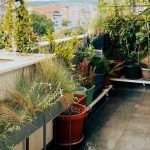 5 Small Garden Ideas for Making the Most of Your City Greenscape