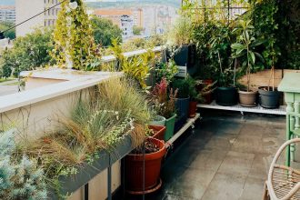 5 Small Garden Ideas for Making the Most of Your City Greenscape