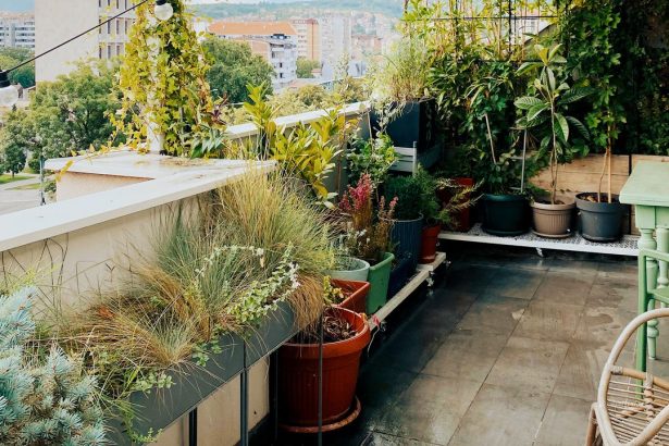 5 Small Garden Ideas for Making the Most of Your City Greenscape