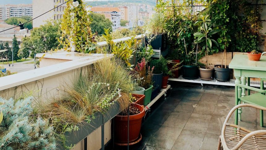 5 Small Garden Ideas for Making the Most of Your City Greenscape