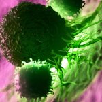 Giant Octopuses, a Promising Cancer Vaccine, And More! : ScienceAlert