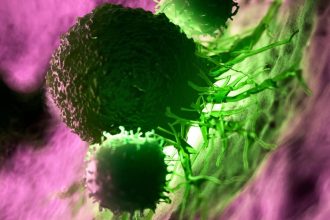 Giant Octopuses, a Promising Cancer Vaccine, And More! : ScienceAlert