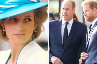 Harry and William ‘United in Grief’ Over Unseen Princess Diana Footage