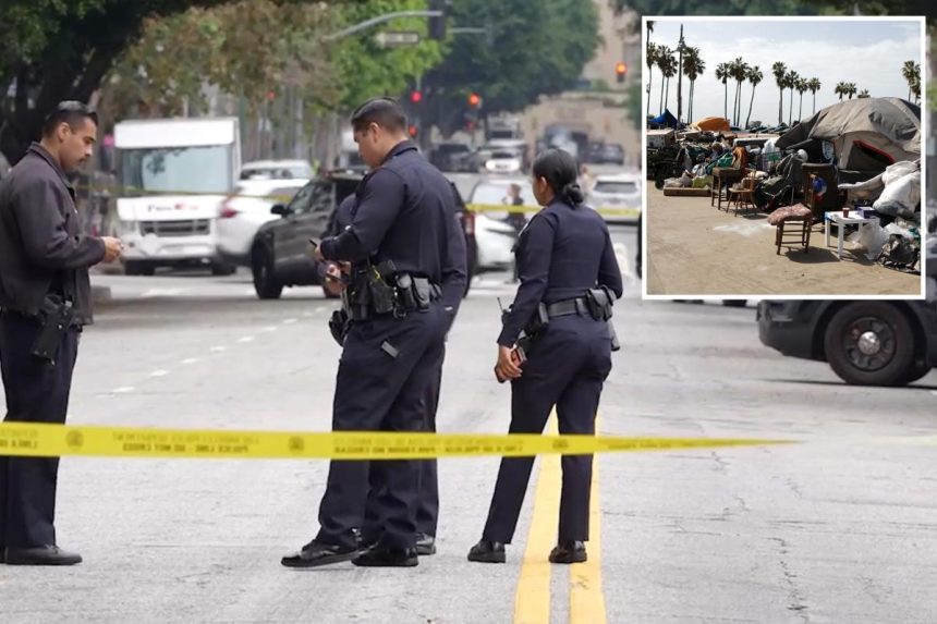 Homeless man accused of random stabbing of elderly woman in neck on DTLA street was suspected in 2025 encampment killing