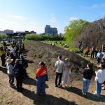 Jean Shin’s Living Memorial to the Trees of Green-Wood Cemetery