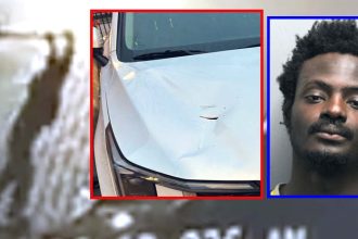 Man charged with damaging vehicles outside Chicago firehouses; 21 felonies filed