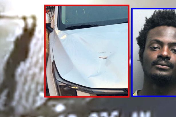 Man charged with damaging vehicles outside Chicago firehouses; 21 felonies filed