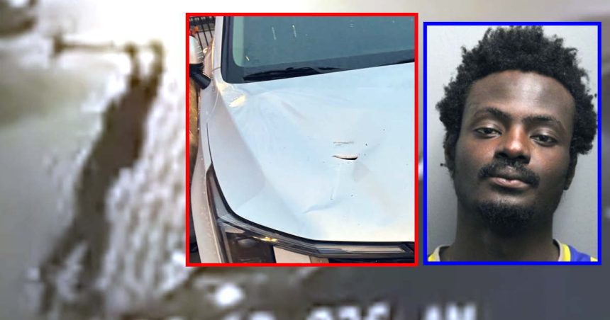 Man charged with damaging vehicles outside Chicago firehouses; 21 felonies filed