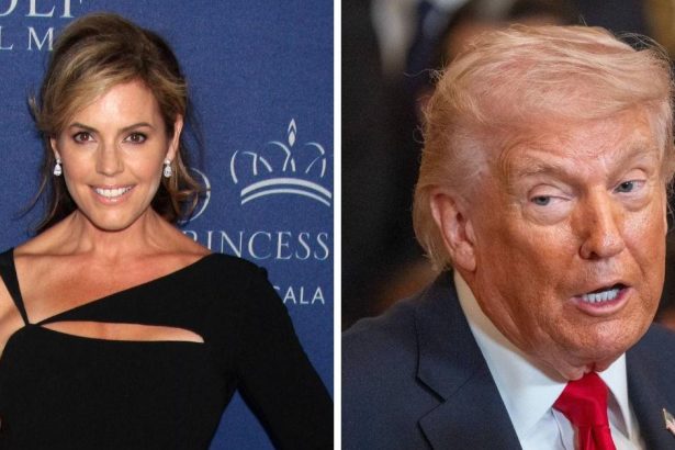 Meet the Playboy Model Who Had a 3-Day Fling With Donald Trump